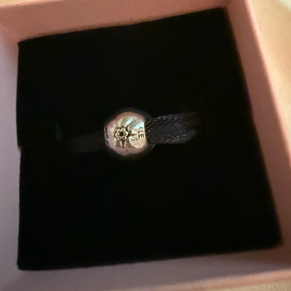 Pandora Apple of My Eye Charm - Picture 3 of 3